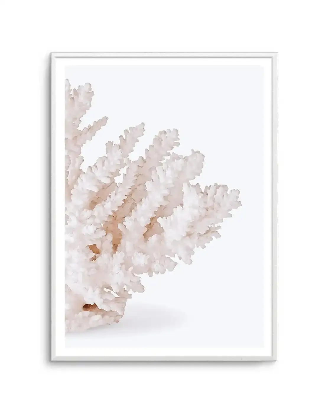 Coral II | Right Art Print-PRINT-Olive et Oriel-Olive et Oriel-A5 | 5.8" x 8.3" | 14.8 x 21cm-Unframed Art Print-With White Border-Buy-Australian-Art-Prints-Online-with-Olive-et-Oriel-Your-Artwork-Specialists-Austrailia-Decorate-With-Coastal-Photo-Wall-Art-Prints-From-Our-Beach-House-Artwork-Collection-Fine-Poster-and-Framed-Artwork