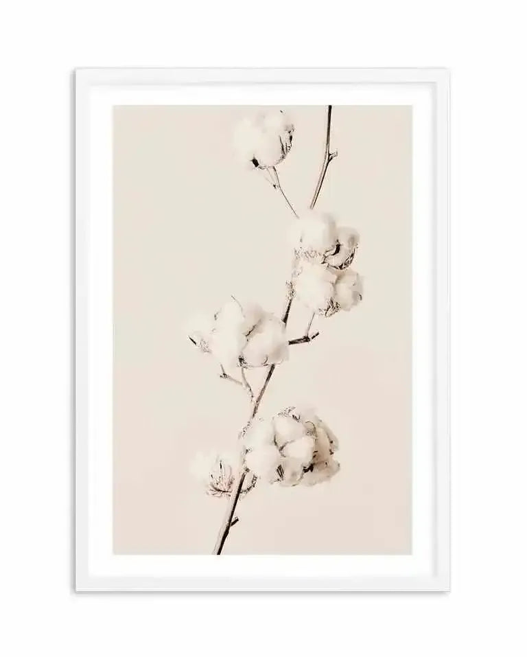 Cotton In Bloom Art Print-PRINT-Olive et Oriel-Olive et Oriel-A5 | 5.8" x 8.3" | 14.8 x 21cm-White-With White Border-Buy-Australian-Art-Prints-Online-with-Olive-et-Oriel-Your-Artwork-Specialists-Austrailia-Decorate-With-Coastal-Photo-Wall-Art-Prints-From-Our-Beach-House-Artwork-Collection-Fine-Poster-and-Framed-Artwork