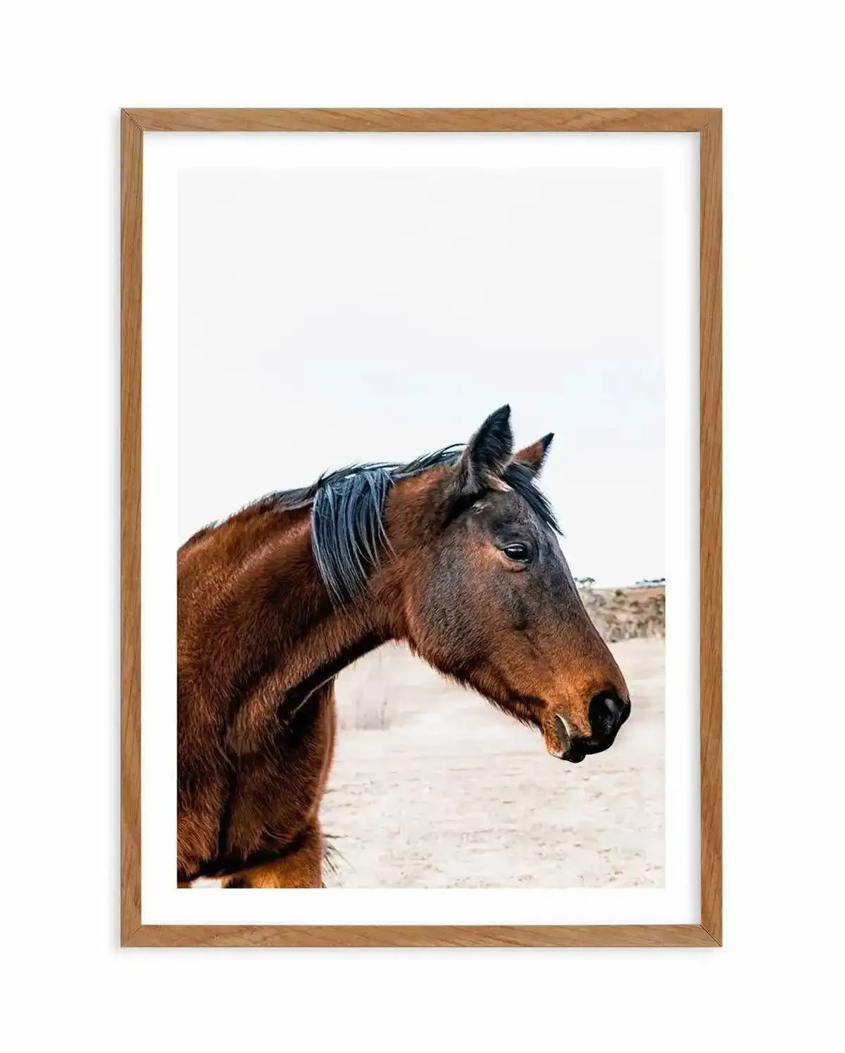 Country Horse Art Print-PRINT-Olive et Oriel-Olive et Oriel-50x70 cm | 19.6" x 27.5"-Walnut-With White Border-Buy-Australian-Art-Prints-Online-with-Olive-et-Oriel-Your-Artwork-Specialists-Austrailia-Decorate-With-Coastal-Photo-Wall-Art-Prints-From-Our-Beach-House-Artwork-Collection-Fine-Poster-and-Framed-Artwork