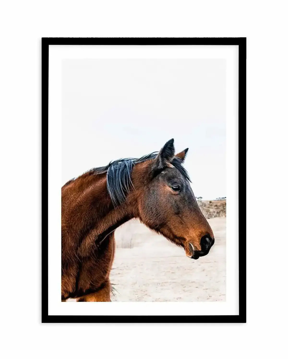 Country Horse Art Print-PRINT-Olive et Oriel-Olive et Oriel-A5 | 5.8" x 8.3" | 14.8 x 21cm-Black-With White Border-Buy-Australian-Art-Prints-Online-with-Olive-et-Oriel-Your-Artwork-Specialists-Austrailia-Decorate-With-Coastal-Photo-Wall-Art-Prints-From-Our-Beach-House-Artwork-Collection-Fine-Poster-and-Framed-Artwork
