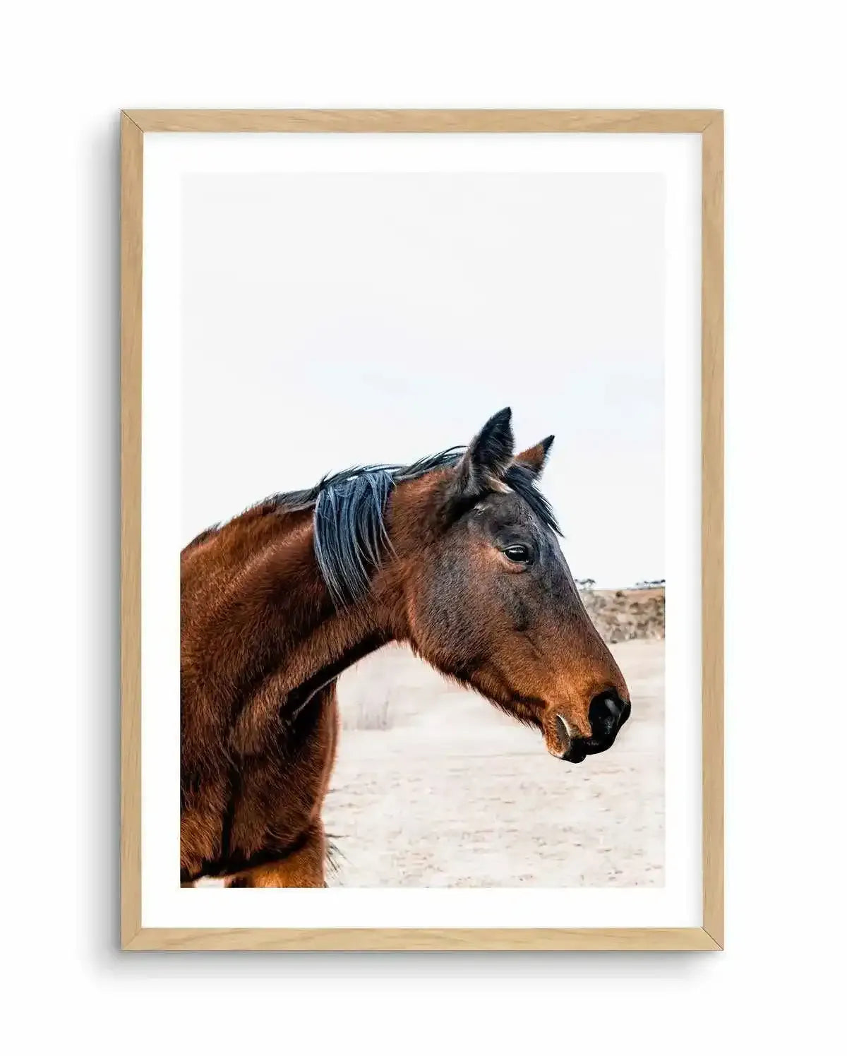 Country Horse Art Print-PRINT-Olive et Oriel-Olive et Oriel-A5 | 5.8" x 8.3" | 14.8 x 21cm-Oak-With White Border-Buy-Australian-Art-Prints-Online-with-Olive-et-Oriel-Your-Artwork-Specialists-Austrailia-Decorate-With-Coastal-Photo-Wall-Art-Prints-From-Our-Beach-House-Artwork-Collection-Fine-Poster-and-Framed-Artwork