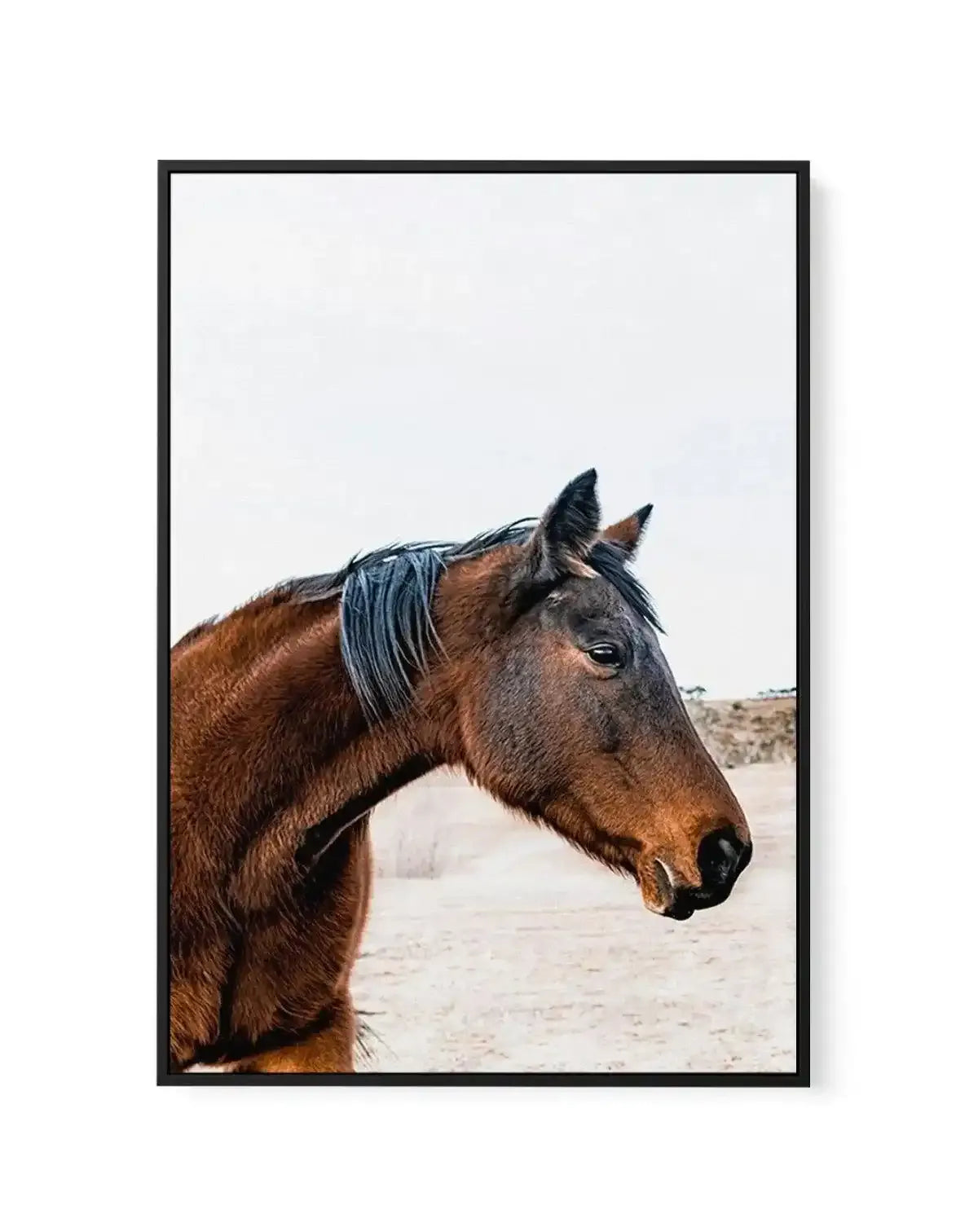 Country Horse | Framed Canvas-CANVAS-You can shop wall art online with Olive et Oriel for everything from abstract art to fun kids wall art. Our beautiful modern art prints and canvas art are available from large canvas prints to wall art paintings and our proudly Australian artwork collection offers only the highest quality framed large wall art and canvas art Australia - You can buy fashion photography prints or Hampton print posters and paintings on canvas from Olive et Oriel and have them de