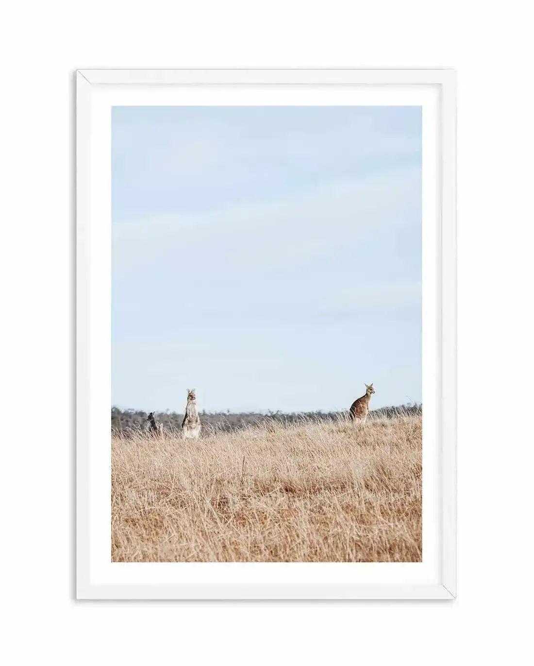 Country Kangaroo I Art Print-PRINT-Olive et Oriel-Olive et Oriel-A5 | 5.8" x 8.3" | 14.8 x 21cm-White-With White Border-Buy-Australian-Art-Prints-Online-with-Olive-et-Oriel-Your-Artwork-Specialists-Austrailia-Decorate-With-Coastal-Photo-Wall-Art-Prints-From-Our-Beach-House-Artwork-Collection-Fine-Poster-and-Framed-Artwork