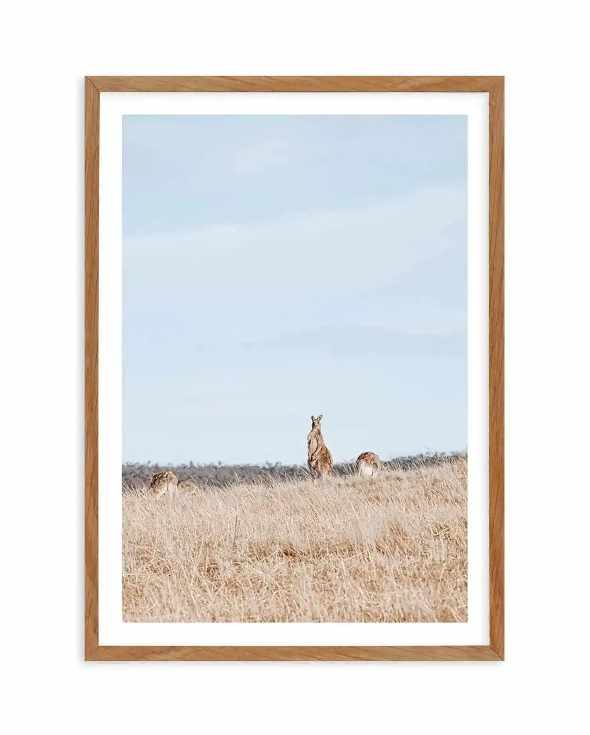 Country Kangaroo II Art Print-PRINT-Olive et Oriel-Olive et Oriel-50x70 cm | 19.6" x 27.5"-Walnut-With White Border-Buy-Australian-Art-Prints-Online-with-Olive-et-Oriel-Your-Artwork-Specialists-Austrailia-Decorate-With-Coastal-Photo-Wall-Art-Prints-From-Our-Beach-House-Artwork-Collection-Fine-Poster-and-Framed-Artwork