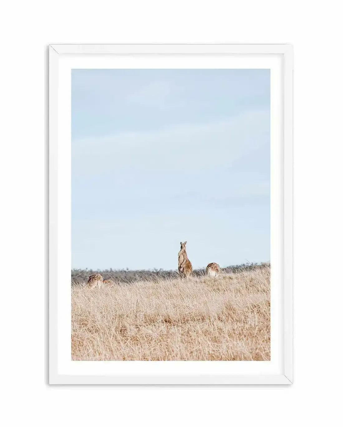 Country Kangaroo II Art Print-PRINT-Olive et Oriel-Olive et Oriel-A5 | 5.8" x 8.3" | 14.8 x 21cm-White-With White Border-Buy-Australian-Art-Prints-Online-with-Olive-et-Oriel-Your-Artwork-Specialists-Austrailia-Decorate-With-Coastal-Photo-Wall-Art-Prints-From-Our-Beach-House-Artwork-Collection-Fine-Poster-and-Framed-Artwork