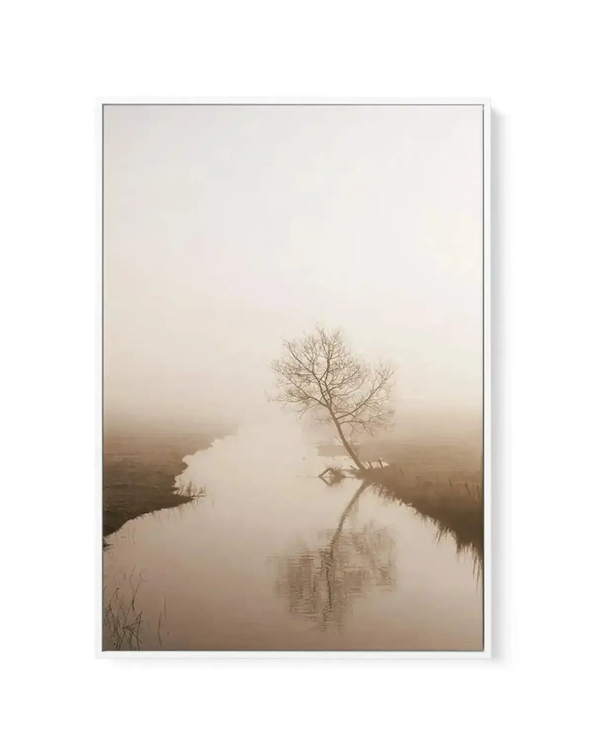 Country Morning, First Light | Framed Canvas-CANVAS-You can shop wall art online with Olive et Oriel for everything from abstract art to fun kids wall art. Our beautiful modern art prints and canvas art are available from large canvas prints to wall art paintings and our proudly Australian artwork collection offers only the highest quality framed large wall art and canvas art Australia - You can buy fashion photography prints or Hampton print posters and paintings on canvas from Olive et Oriel a