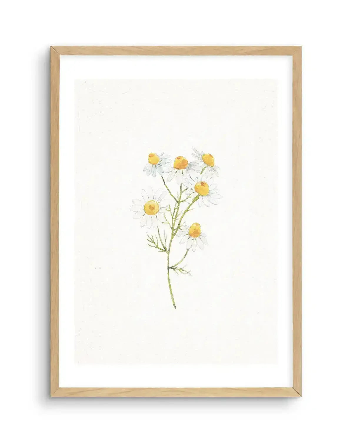 Daisies on Linen I Art Print-PRINT-Olive et Oriel-Olive et Oriel-A5 | 5.8" x 8.3" | 14.8 x 21cm-Oak-With White Border-Buy-Australian-Art-Prints-Online-with-Olive-et-Oriel-Your-Artwork-Specialists-Austrailia-Decorate-With-Coastal-Photo-Wall-Art-Prints-From-Our-Beach-House-Artwork-Collection-Fine-Poster-and-Framed-Artwork