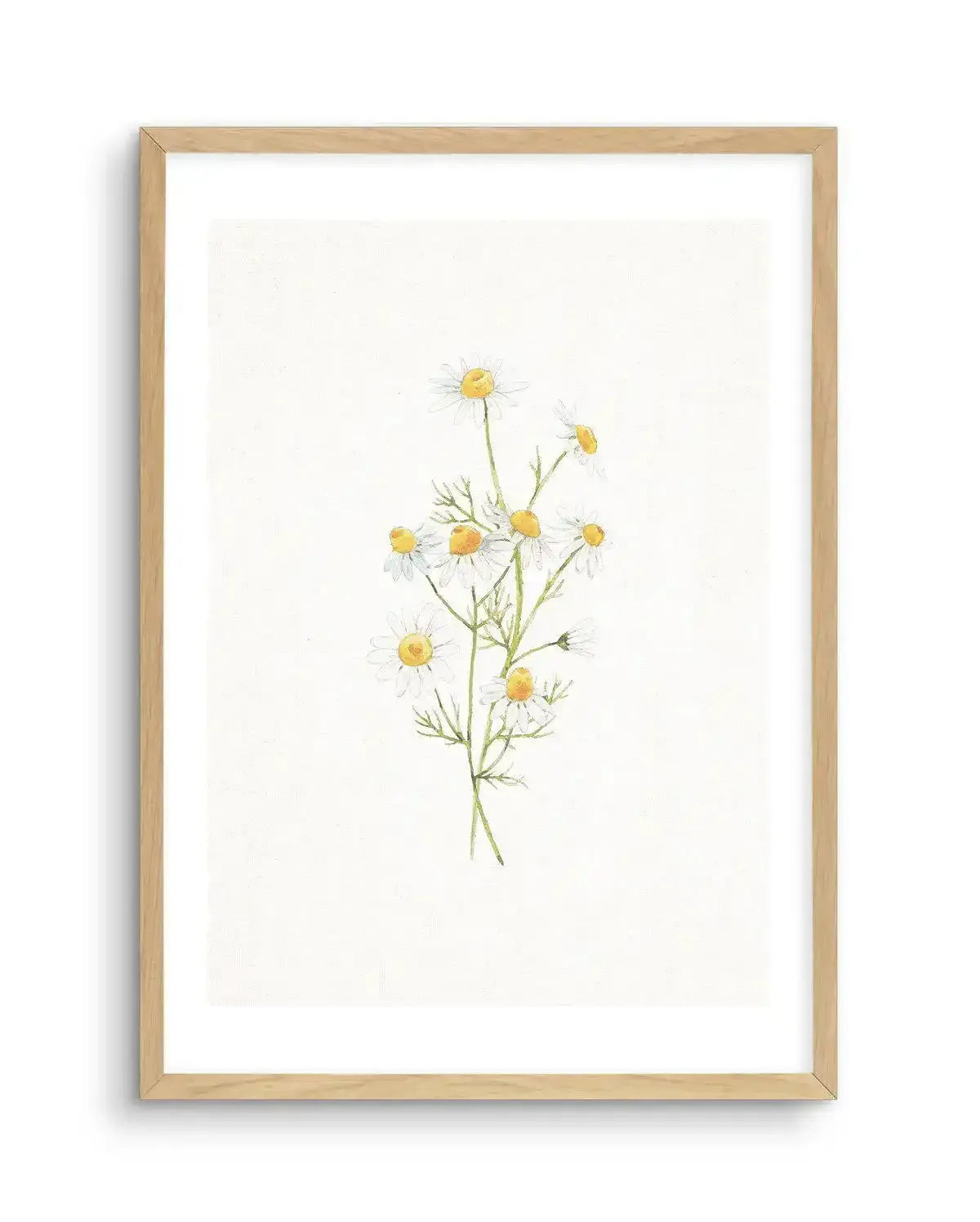 Daisies on Linen II Art Print-PRINT-Olive et Oriel-Olive et Oriel-A5 | 5.8" x 8.3" | 14.8 x 21cm-Oak-With White Border-Buy-Australian-Art-Prints-Online-with-Olive-et-Oriel-Your-Artwork-Specialists-Austrailia-Decorate-With-Coastal-Photo-Wall-Art-Prints-From-Our-Beach-House-Artwork-Collection-Fine-Poster-and-Framed-Artwork