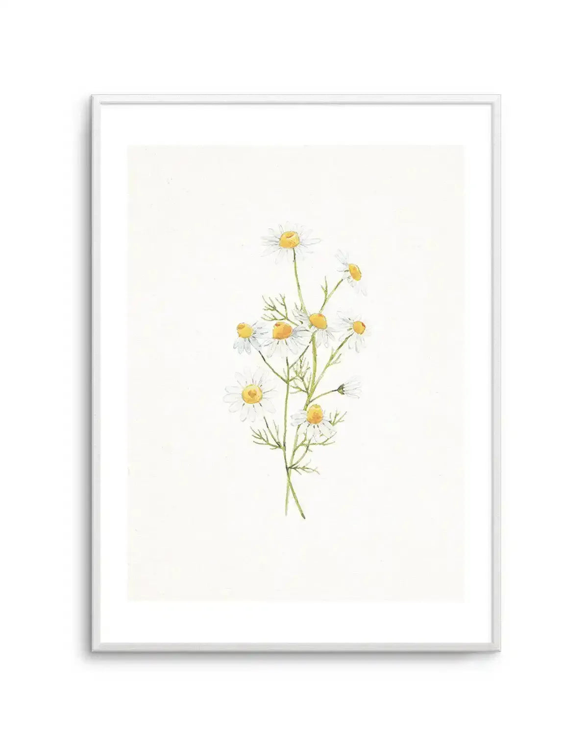 Daisies on Linen II Art Print-PRINT-Olive et Oriel-Olive et Oriel-A5 | 5.8" x 8.3" | 14.8 x 21cm-Unframed Art Print-With White Border-Buy-Australian-Art-Prints-Online-with-Olive-et-Oriel-Your-Artwork-Specialists-Austrailia-Decorate-With-Coastal-Photo-Wall-Art-Prints-From-Our-Beach-House-Artwork-Collection-Fine-Poster-and-Framed-Artwork