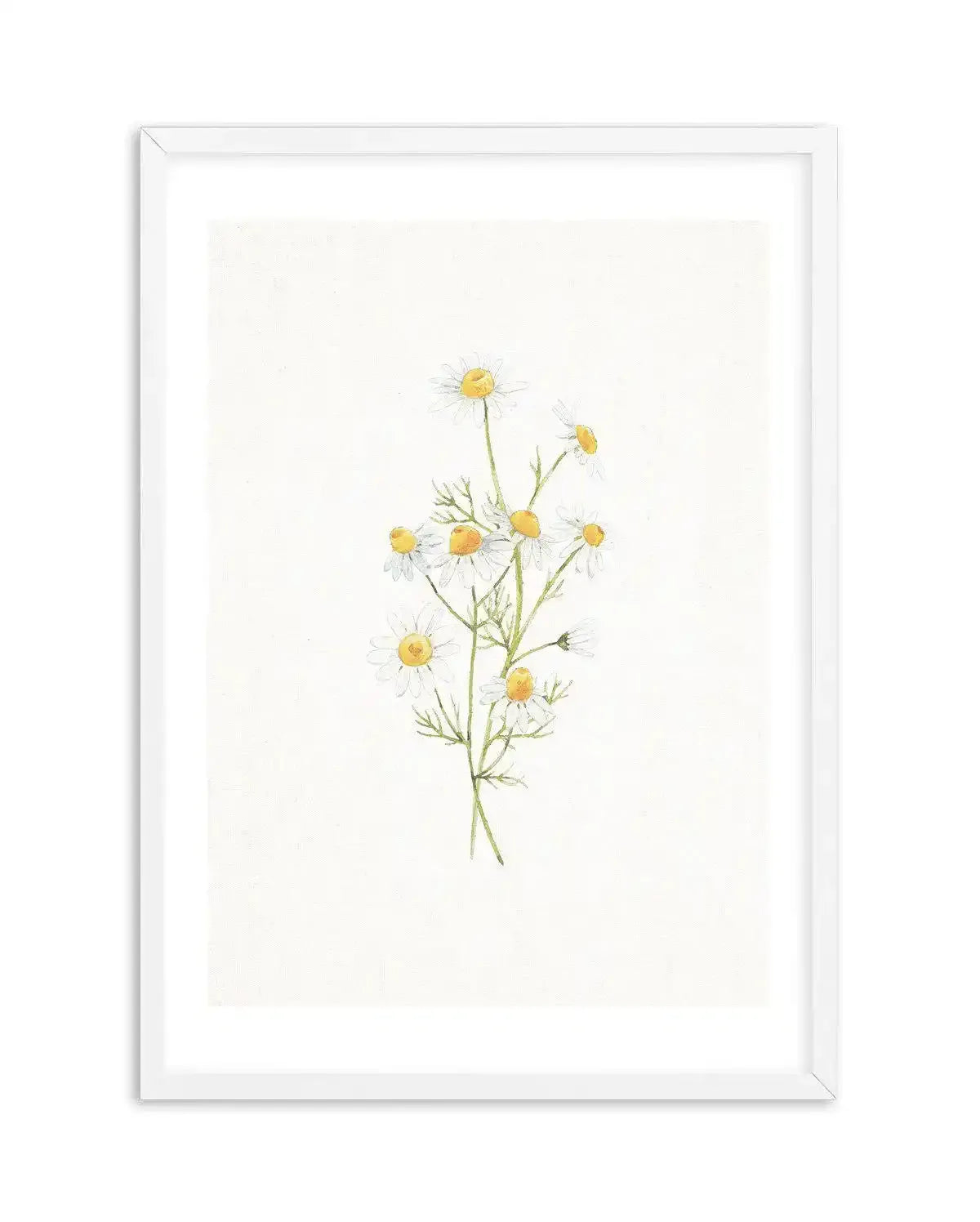 Daisies on Linen II Art Print-PRINT-Olive et Oriel-Olive et Oriel-A5 | 5.8" x 8.3" | 14.8 x 21cm-White-With White Border-Buy-Australian-Art-Prints-Online-with-Olive-et-Oriel-Your-Artwork-Specialists-Austrailia-Decorate-With-Coastal-Photo-Wall-Art-Prints-From-Our-Beach-House-Artwork-Collection-Fine-Poster-and-Framed-Artwork