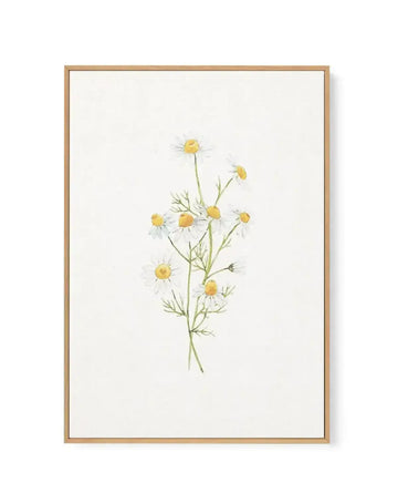 Framed canvas art print featuring a delicate watercolor illustration of daisies with yellow centers and white petals arranged on branching green stems against a cream background. The artwork is displayed in a natural wood frame with a white border, presented as a vertical rectangular composition on a light neutral backdrop.