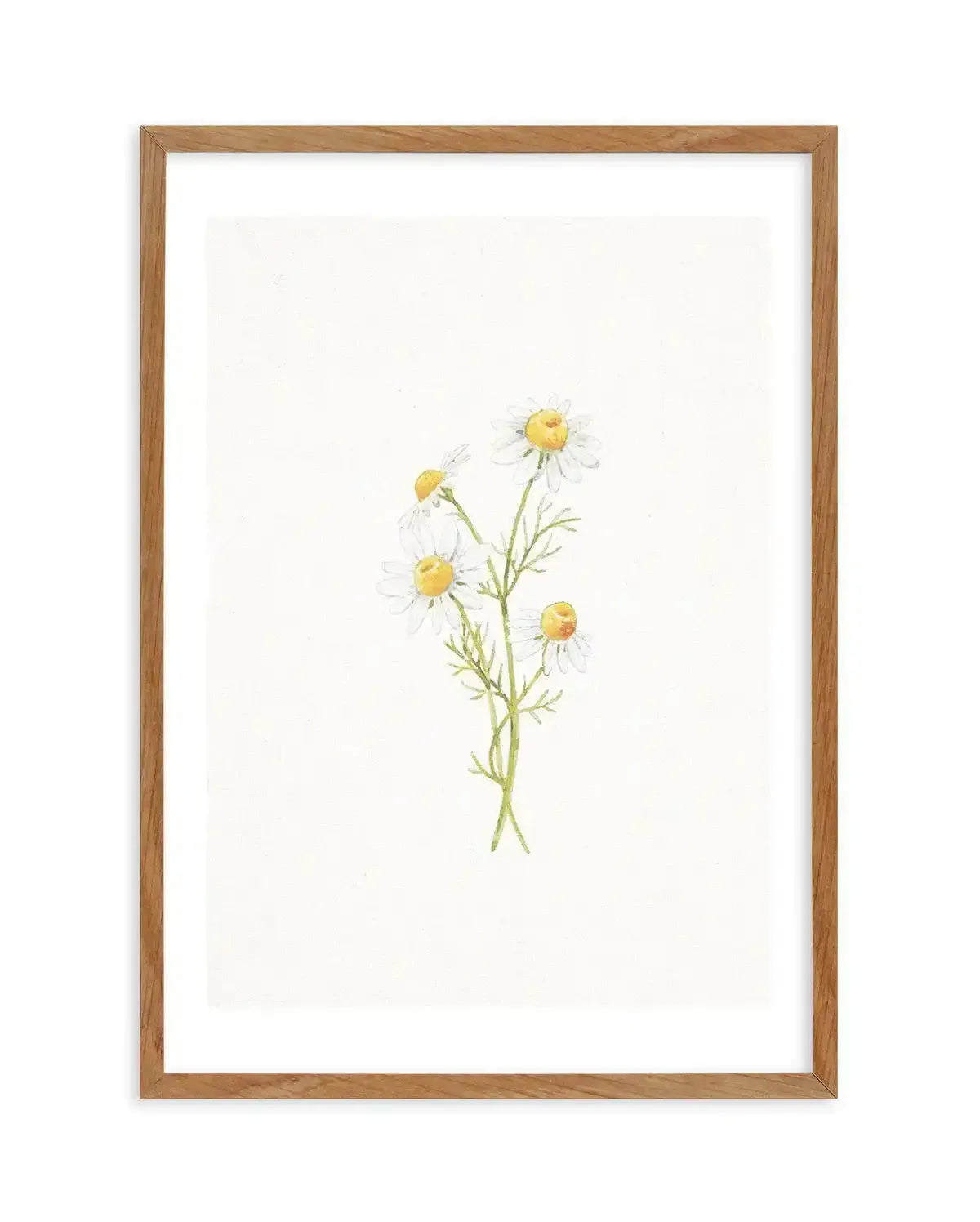 Daisies on Linen III Art Print-PRINT-Olive et Oriel-Olive et Oriel-50x70 cm | 19.6" x 27.5"-Walnut-With White Border-Buy-Australian-Art-Prints-Online-with-Olive-et-Oriel-Your-Artwork-Specialists-Austrailia-Decorate-With-Coastal-Photo-Wall-Art-Prints-From-Our-Beach-House-Artwork-Collection-Fine-Poster-and-Framed-Artwork