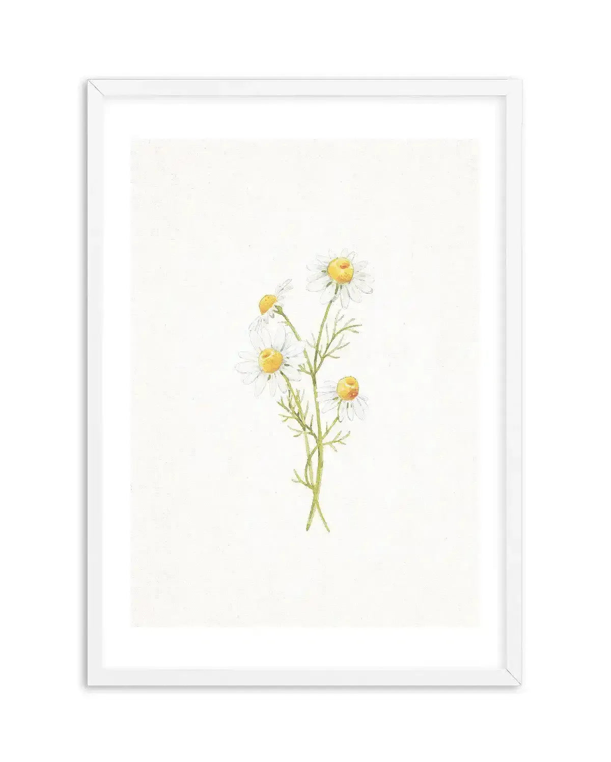 Daisies on Linen III Art Print-PRINT-Olive et Oriel-Olive et Oriel-A5 | 5.8" x 8.3" | 14.8 x 21cm-White-With White Border-Buy-Australian-Art-Prints-Online-with-Olive-et-Oriel-Your-Artwork-Specialists-Austrailia-Decorate-With-Coastal-Photo-Wall-Art-Prints-From-Our-Beach-House-Artwork-Collection-Fine-Poster-and-Framed-Artwork