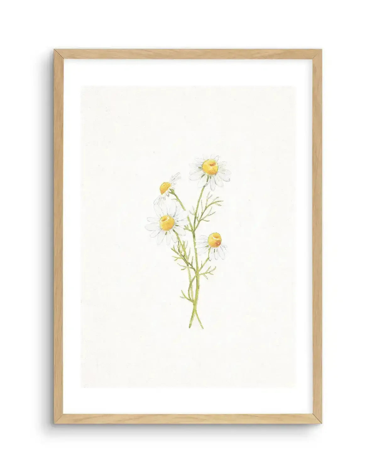 Daisies on Linen III Art Print-PRINT-Olive et Oriel-Olive et Oriel-A5 | 5.8" x 8.3" | 14.8 x 21cm-Oak-With White Border-Buy-Australian-Art-Prints-Online-with-Olive-et-Oriel-Your-Artwork-Specialists-Austrailia-Decorate-With-Coastal-Photo-Wall-Art-Prints-From-Our-Beach-House-Artwork-Collection-Fine-Poster-and-Framed-Artwork