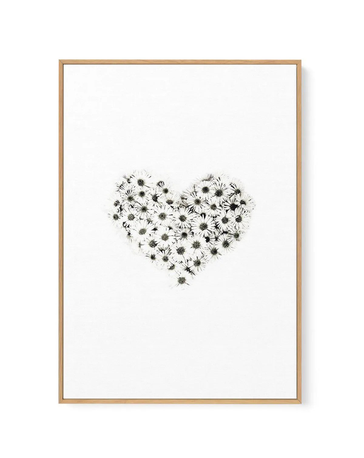 Daisy Heart | Framed Canvas-CANVAS-You can shop wall art online with Olive et Oriel for everything from abstract art to fun kids wall art. Our beautiful modern art prints and canvas art are available from large canvas prints to wall art paintings and our proudly Australian artwork collection offers only the highest quality framed large wall art and canvas art Australia - You can buy fashion photography prints or Hampton print posters and paintings on canvas from Olive et Oriel and have them deli