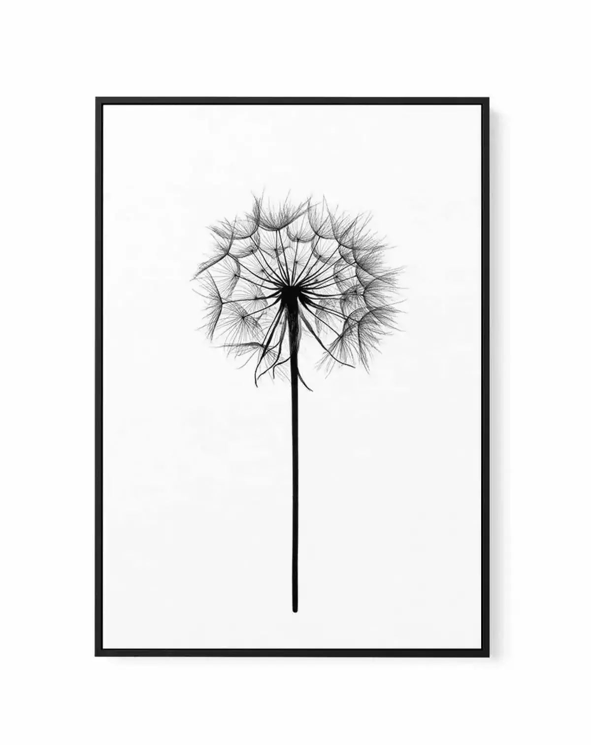 Dandelion | Framed Canvas-CANVAS-You can shop wall art online with Olive et Oriel for everything from abstract art to fun kids wall art. Our beautiful modern art prints and canvas art are available from large canvas prints to wall art paintings and our proudly Australian artwork collection offers only the highest quality framed large wall art and canvas art Australia - You can buy fashion photography prints or Hampton print posters and paintings on canvas from Olive et Oriel and have them delive