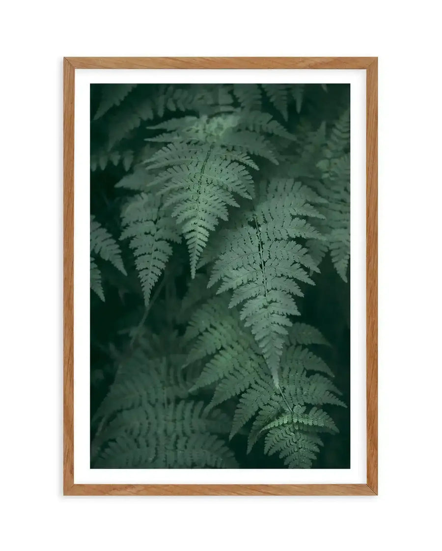 Framed photography art print of dark green ferns with natural wood frame and white border. The close-up composition features multiple fern fronds in varying shades of deep emerald and sage green, with visible leaf texture and a soft, diffused light highlighting the foreground.