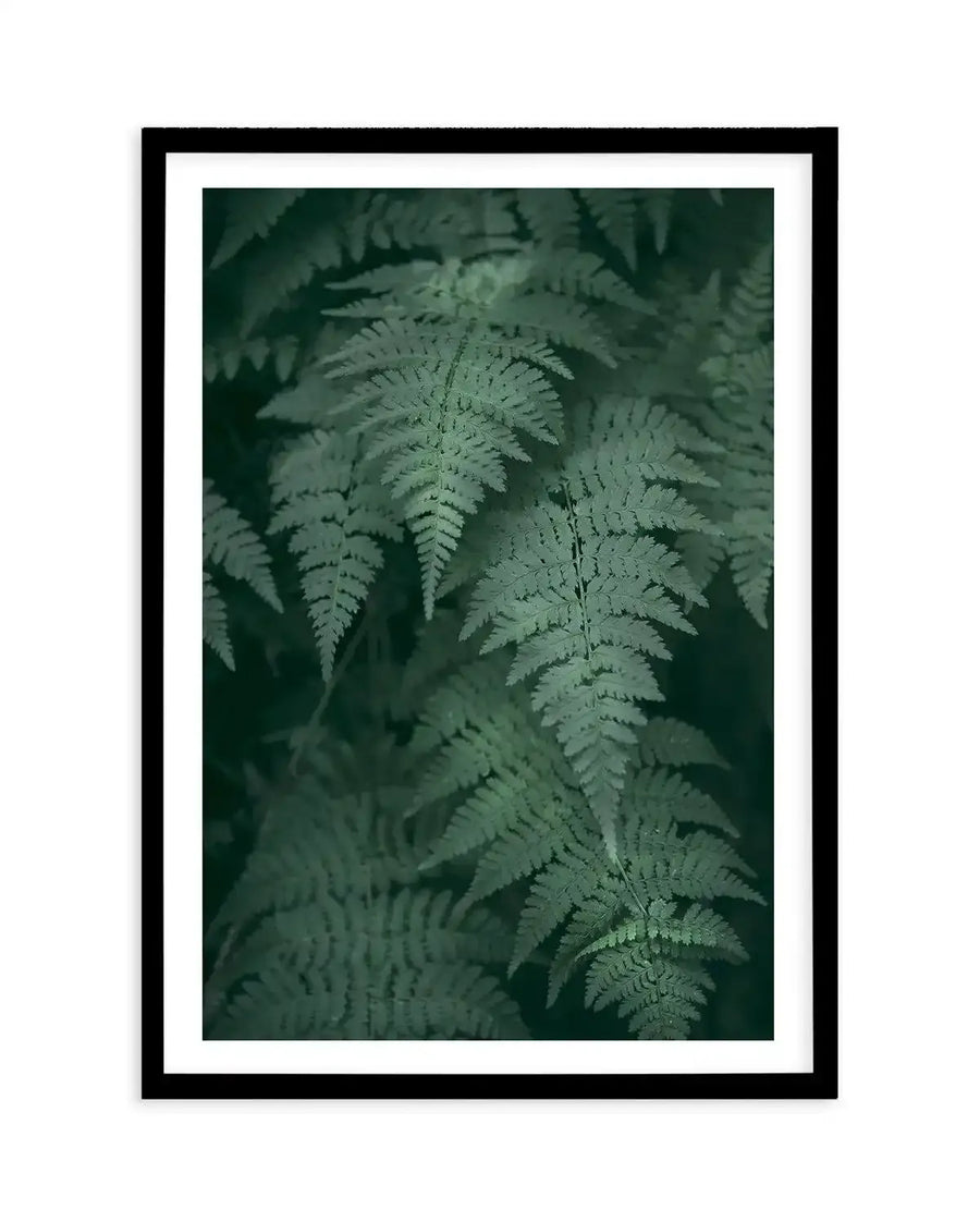 Framed photography art print featuring a close-up of lush dark green fern leaves with fine texture and natural light highlights, displayed in a black frame with white border.