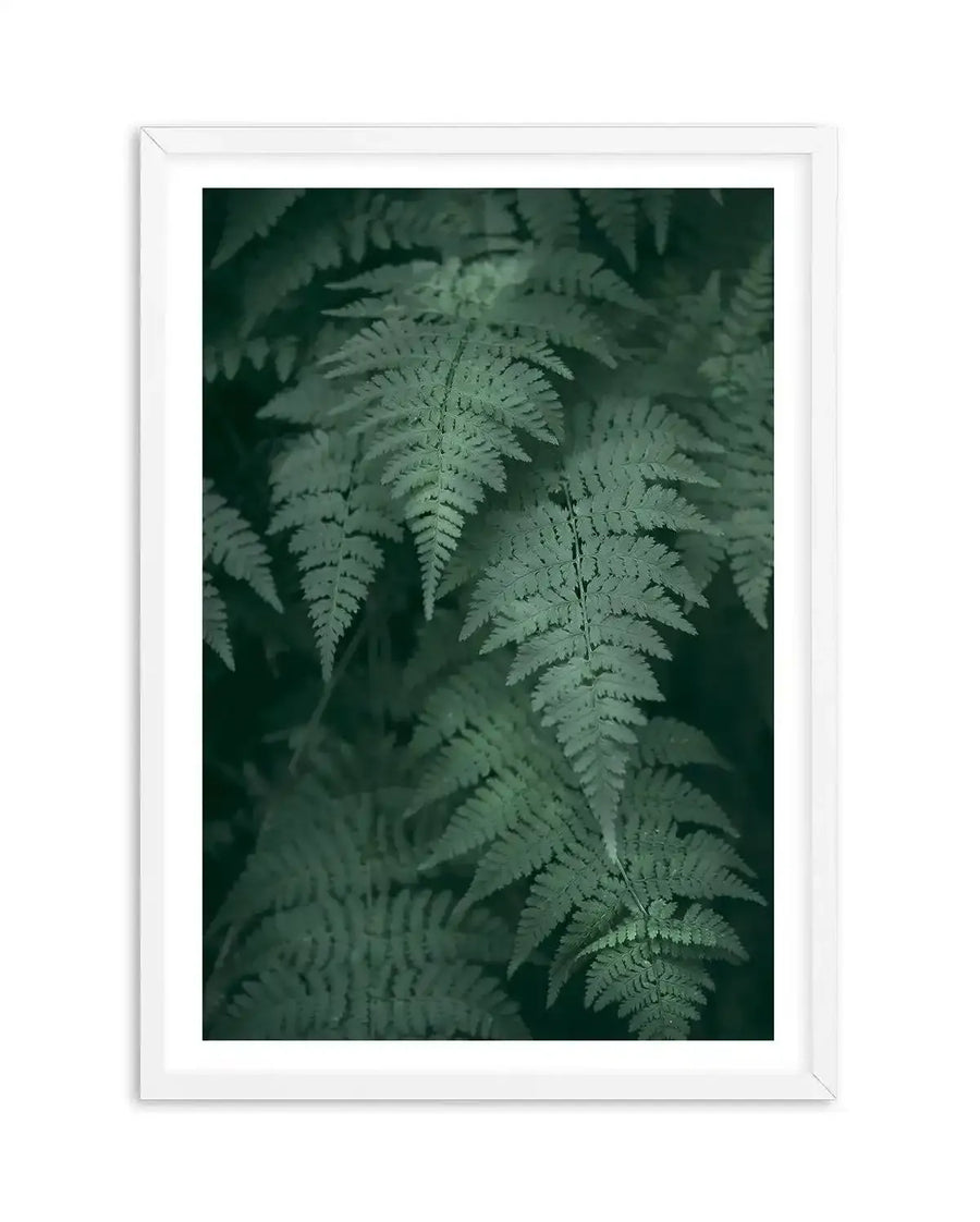 Framed photography art print of dark green ferns with a white frame and white border. The close-up composition features multiple fern fronds in varying shades of deep emerald and forest green, with a soft focus creating a natural, lush texture.