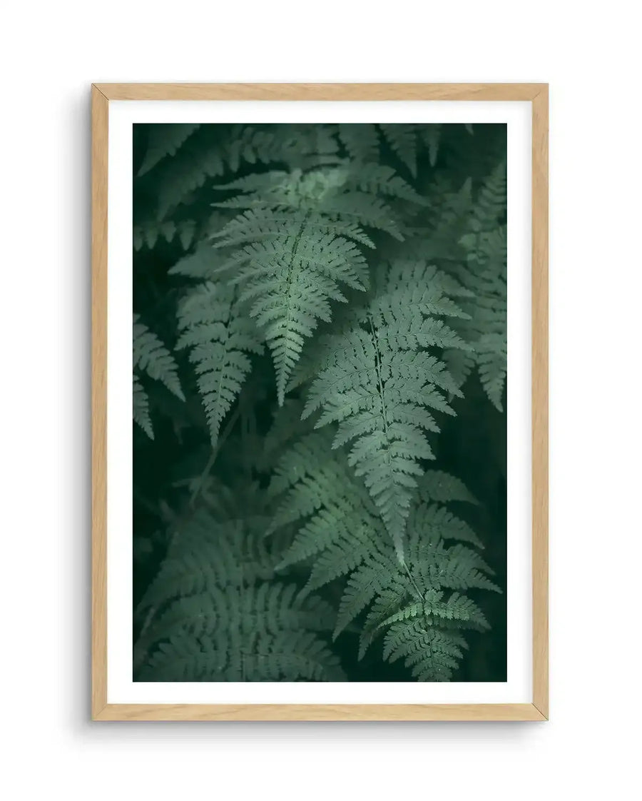 Framed photograph of a dense cluster of dark green fern fronds with a natural wood frame and white border. The image captures the intricate texture and varying shades of green of the overlapping leaves, creating a lush, natural composition.