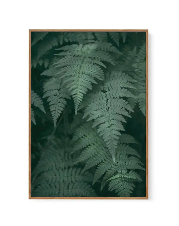 Framed canvas art print featuring a dense cluster of fern fronds in varying shades of deep forest green and soft sage green. The ferns are photographed from above, creating a layered, botanical composition with delicate, feathery leaflets overlapping throughout. The image has a moody, naturalistic quality with subtle depth created by lighter and darker green tones. The canvas is set in a natural wood frame with a warm tan finish.