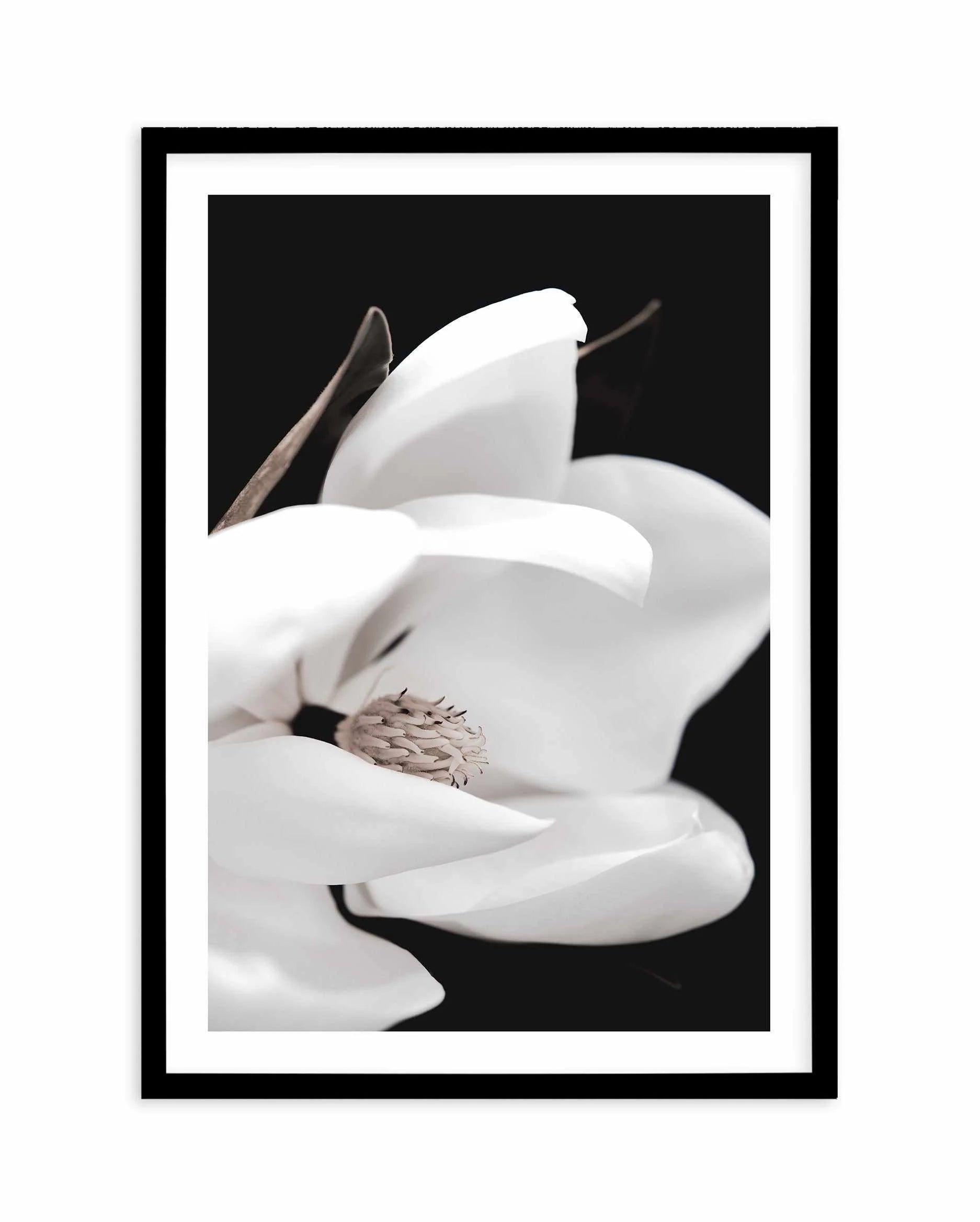 SALE 100x130 Dark Magnolia I PT | Black | Framed Acrylic Art from Olive et Oriel where you can shop wallpaper and artworks online