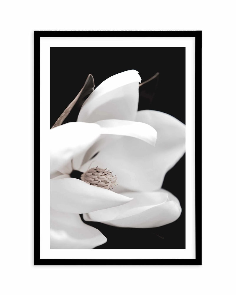 SALE 100x130 Dark Magnolia I PT  | Black | Framed Acrylic Art