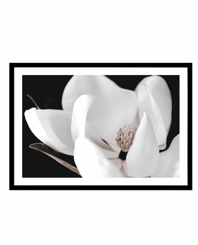 SALE 70x100 Dark Magnolia I | LS | Black | Framed Acrylic Art