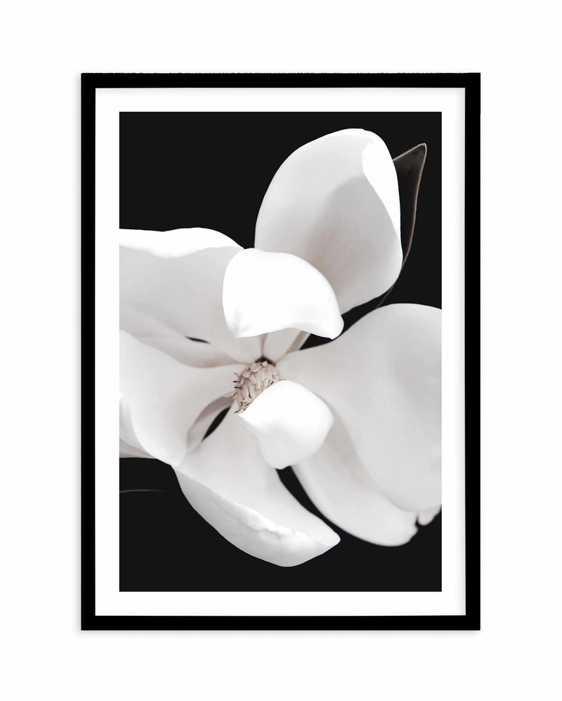 SALE 100x130 Dark Magnolia II PT  | Black | Framed Acrylic Art