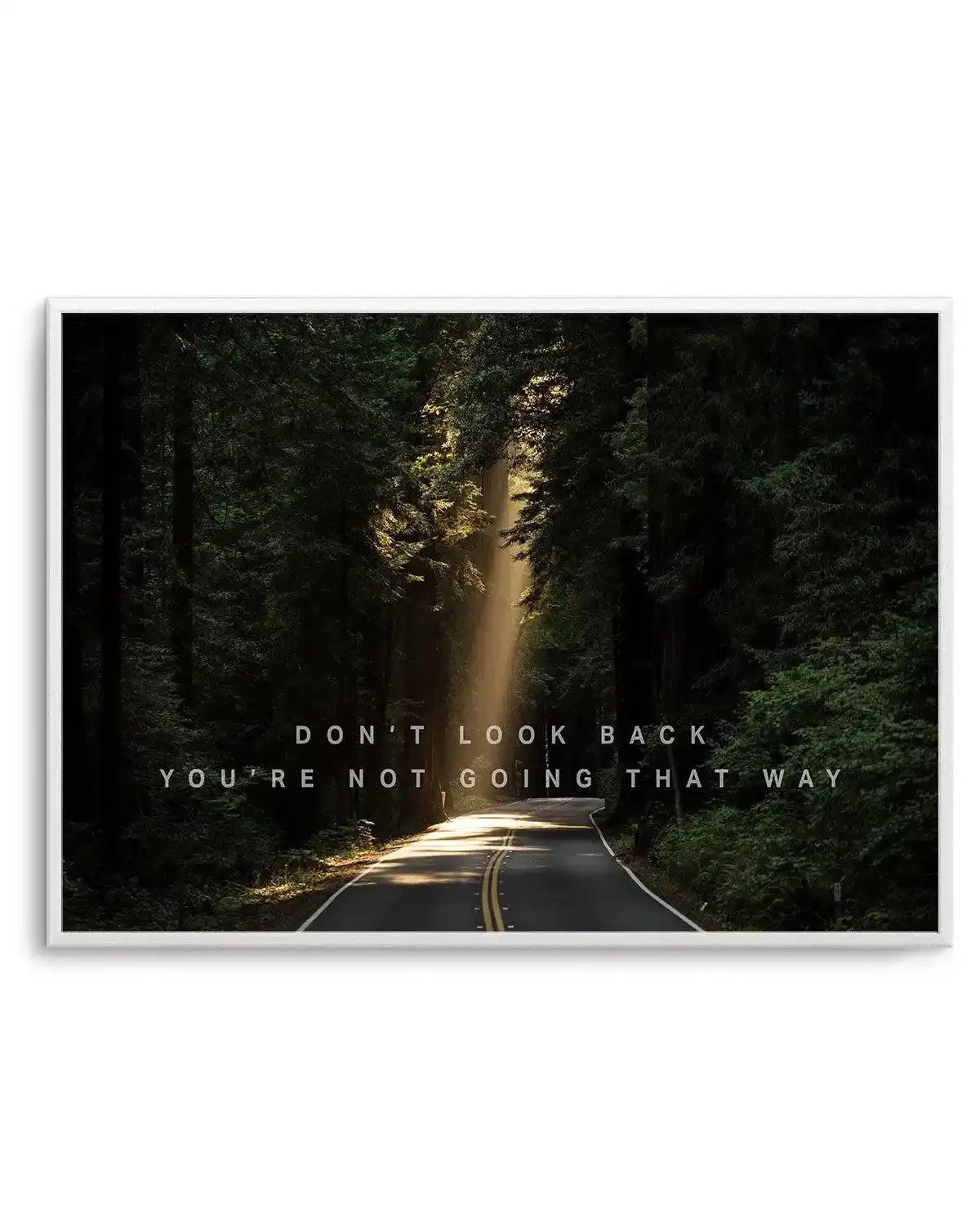 Don't Look Back You're Not Going That Way Art Print-PRINT-Olive et Oriel-Olive et Oriel-Buy-Australian-Art-Prints-Online-with-Olive-et-Oriel-Your-Artwork-Specialists-Austrailia-Decorate-With-Coastal-Photo-Wall-Art-Prints-From-Our-Beach-House-Artwork-Collection-Fine-Poster-and-Framed-Artwork