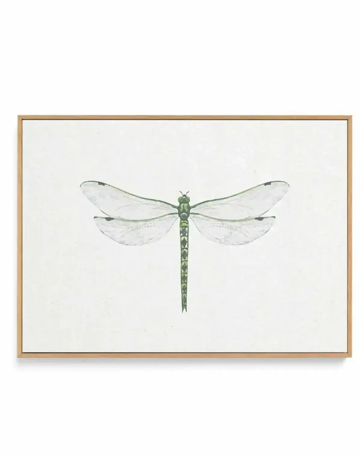 Dragonfly on Linen II | Framed Canvas Art Print from Olive et Oriel where you can shop wallpaper and artworks online