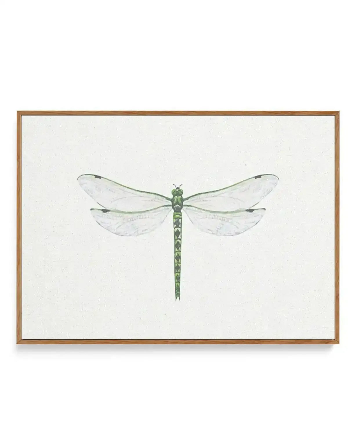 Dragonfly on Linen II | Framed Canvas-CANVAS-You can shop wall art online with Olive et Oriel for everything from abstract art to fun kids wall art. Our beautiful modern art prints and canvas art are available from large canvas prints to wall art paintings and our proudly Australian artwork collection offers only the highest quality framed large wall art and canvas art Australia - You can buy fashion photography prints or Hampton print posters and paintings on canvas from Olive et Oriel and have