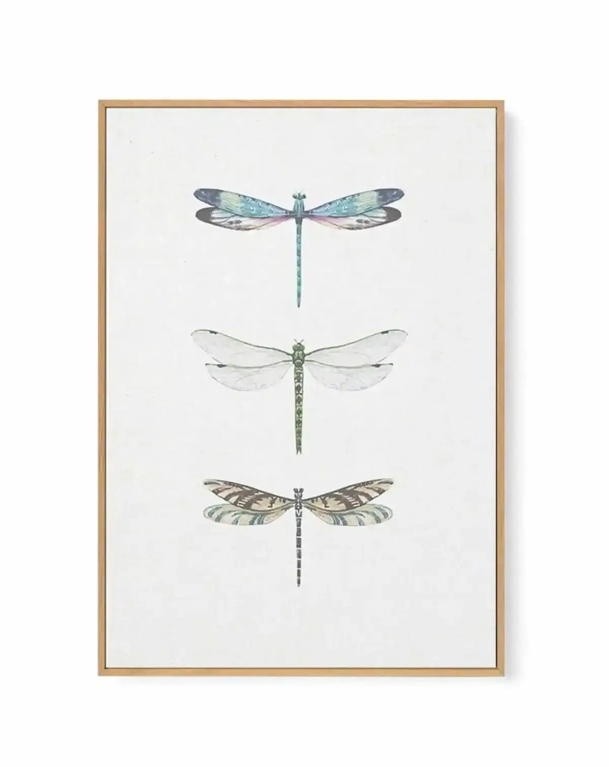 Dragonfly on Linen | PT | Framed Canvas Art Print from Olive et Oriel where you can shop wallpaper and artworks online