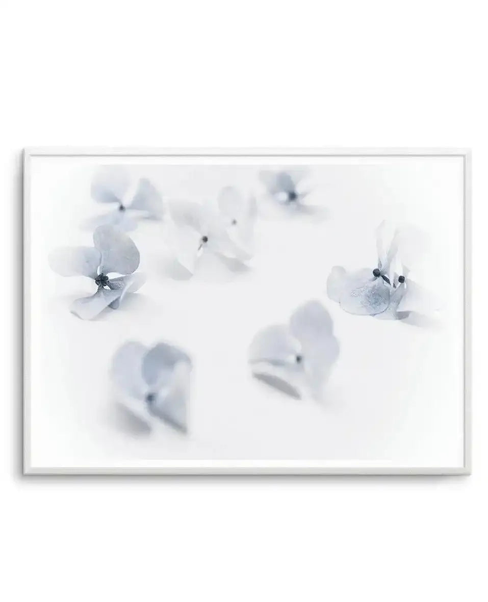 Droplets | Hydrangea I Art Print-PRINT-Olive et Oriel-Olive et Oriel-A4 | 8.3" x 11.7" | 21 x 29.7cm-Unframed Art Print-With White Border-Buy-Australian-Art-Prints-Online-with-Olive-et-Oriel-Your-Artwork-Specialists-Austrailia-Decorate-With-Coastal-Photo-Wall-Art-Prints-From-Our-Beach-House-Artwork-Collection-Fine-Poster-and-Framed-Artwork