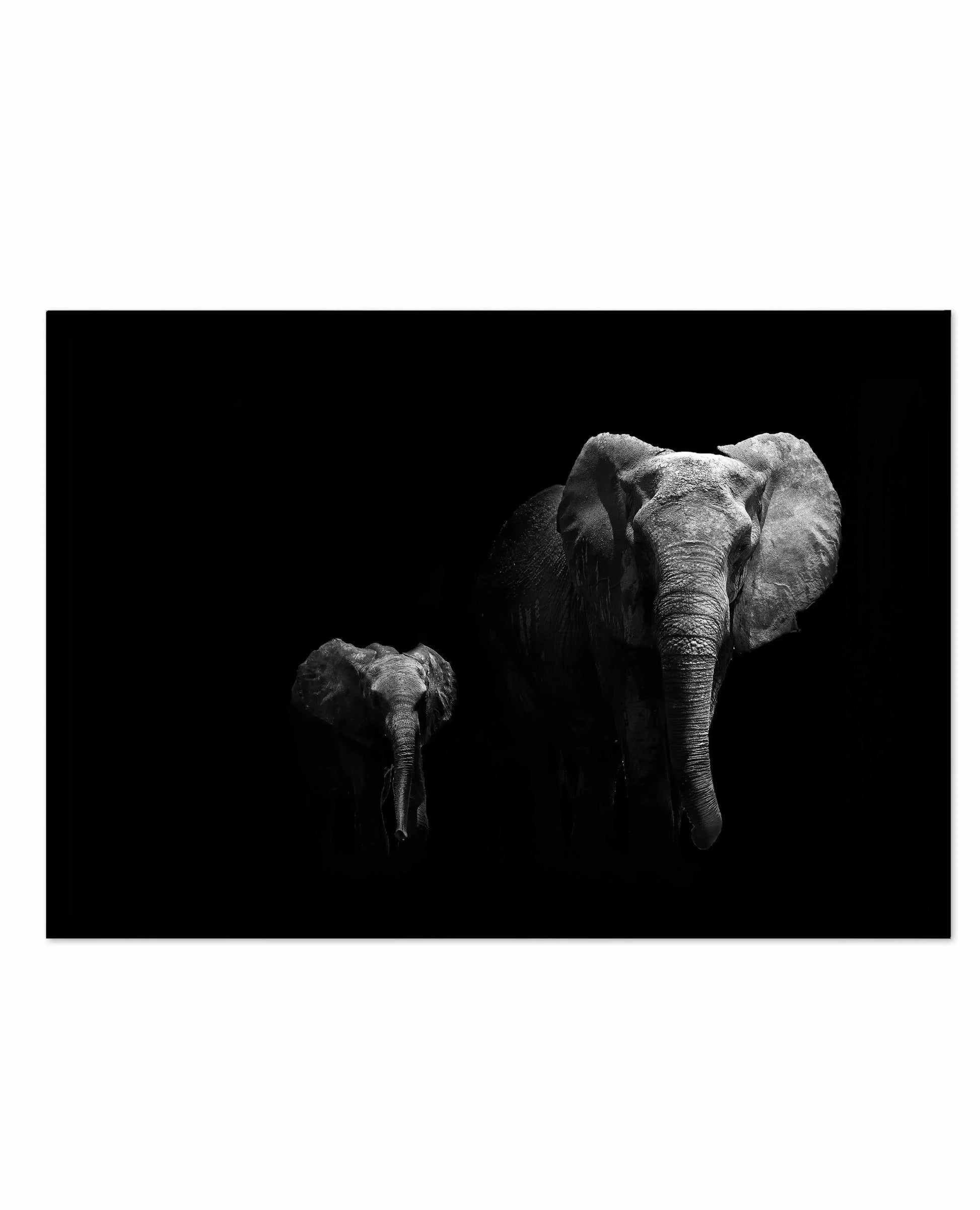 Elephant Par Deux | LS Art Print-PRINT-Olive et Oriel-Olive et Oriel-A5 | 5.8" x 8.3" | 14.8 x 21cm-Black-With White Border-Buy-Australian-Art-Prints-Online-with-Olive-et-Oriel-Your-Artwork-Specialists-Austrailia-Decorate-With-Coastal-Photo-Wall-Art-Prints-From-Our-Beach-House-Artwork-Collection-Fine-Poster-and-Framed-Artwork