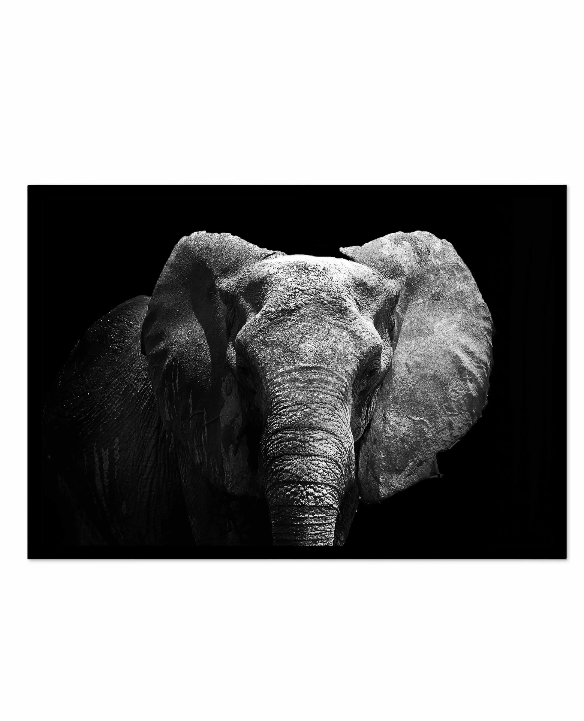 Elephant De Nuit | LS Art Print-PRINT-Olive et Oriel-Olive et Oriel-A5 | 5.8" x 8.3" | 14.8 x 21cm-Black-With White Border-Buy-Australian-Art-Prints-Online-with-Olive-et-Oriel-Your-Artwork-Specialists-Austrailia-Decorate-With-Coastal-Photo-Wall-Art-Prints-From-Our-Beach-House-Artwork-Collection-Fine-Poster-and-Framed-Artwork