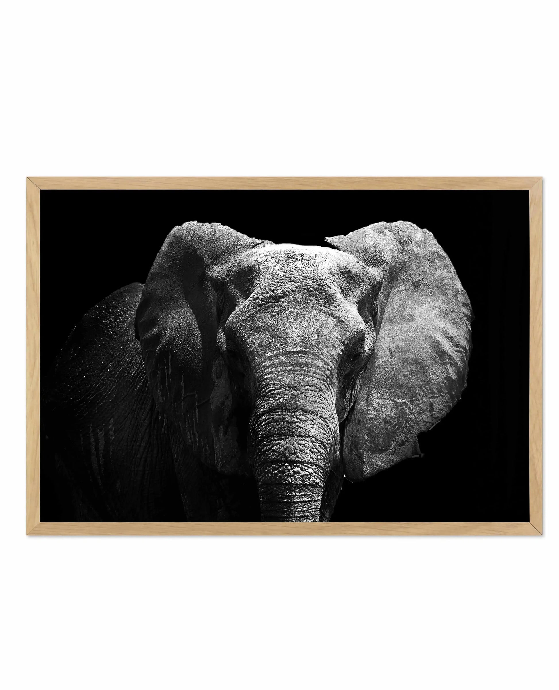 Elephant De Nuit | LS Art Print-PRINT-Olive et Oriel-Olive et Oriel-A5 | 5.8" x 8.3" | 14.8 x 21cm-Oak-With White Border-Buy-Australian-Art-Prints-Online-with-Olive-et-Oriel-Your-Artwork-Specialists-Austrailia-Decorate-With-Coastal-Photo-Wall-Art-Prints-From-Our-Beach-House-Artwork-Collection-Fine-Poster-and-Framed-Artwork