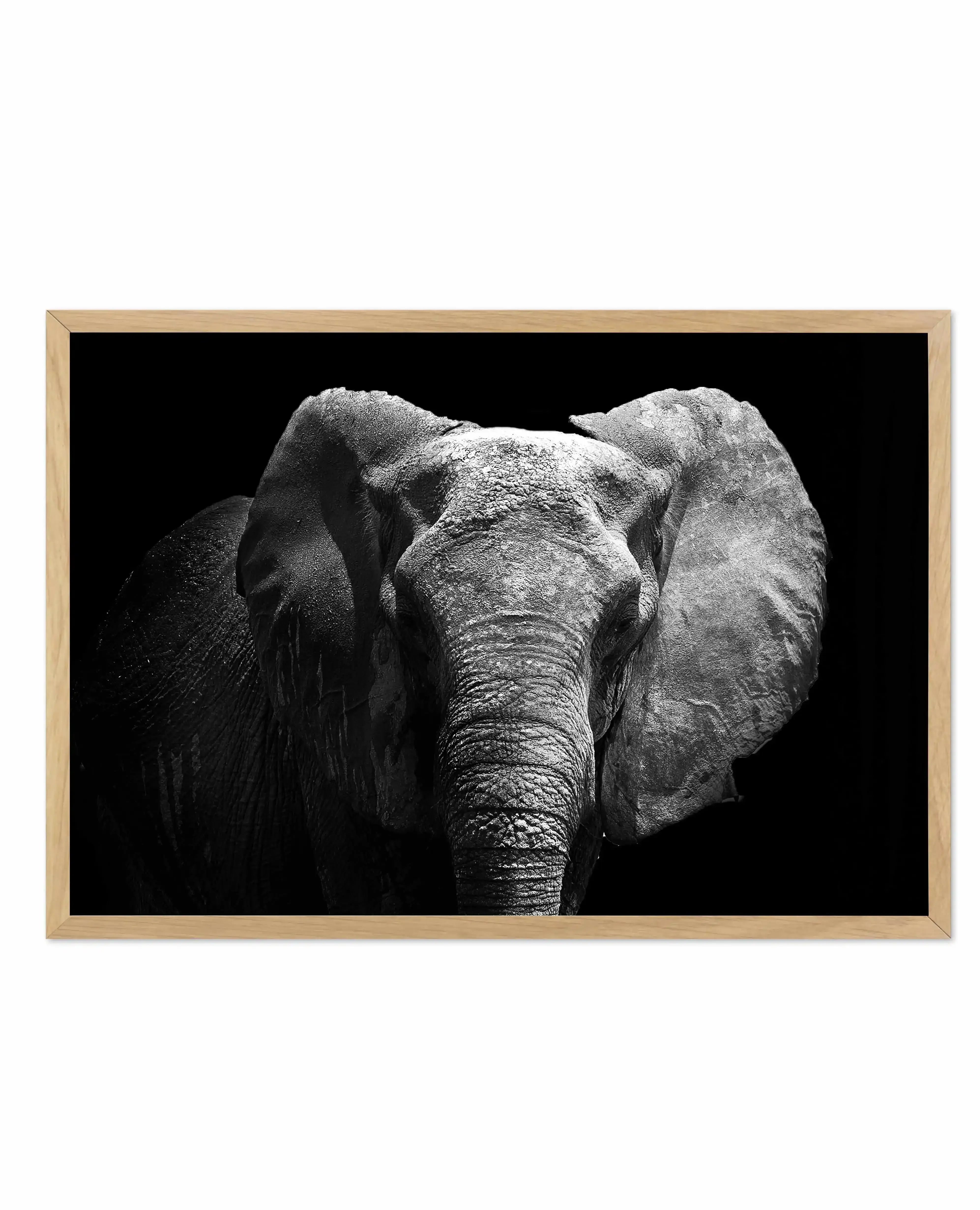 Elephant De Nuit | LS Art Print-PRINT-Olive et Oriel-Olive et Oriel-A5 | 5.8" x 8.3" | 14.8 x 21cm-Oak-With White Border-Buy-Australian-Art-Prints-Online-with-Olive-et-Oriel-Your-Artwork-Specialists-Austrailia-Decorate-With-Coastal-Photo-Wall-Art-Prints-From-Our-Beach-House-Artwork-Collection-Fine-Poster-and-Framed-Artwork