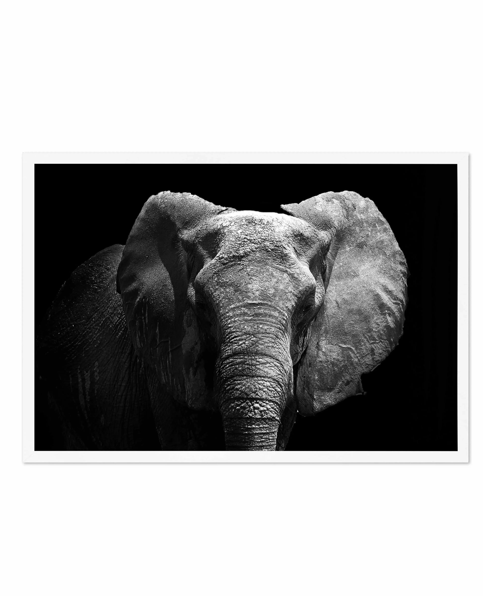 Elephant De Nuit | LS Art Print-PRINT-Olive et Oriel-Olive et Oriel-A5 | 5.8" x 8.3" | 14.8 x 21cm-White-With White Border-Buy-Australian-Art-Prints-Online-with-Olive-et-Oriel-Your-Artwork-Specialists-Austrailia-Decorate-With-Coastal-Photo-Wall-Art-Prints-From-Our-Beach-House-Artwork-Collection-Fine-Poster-and-Framed-Artwork