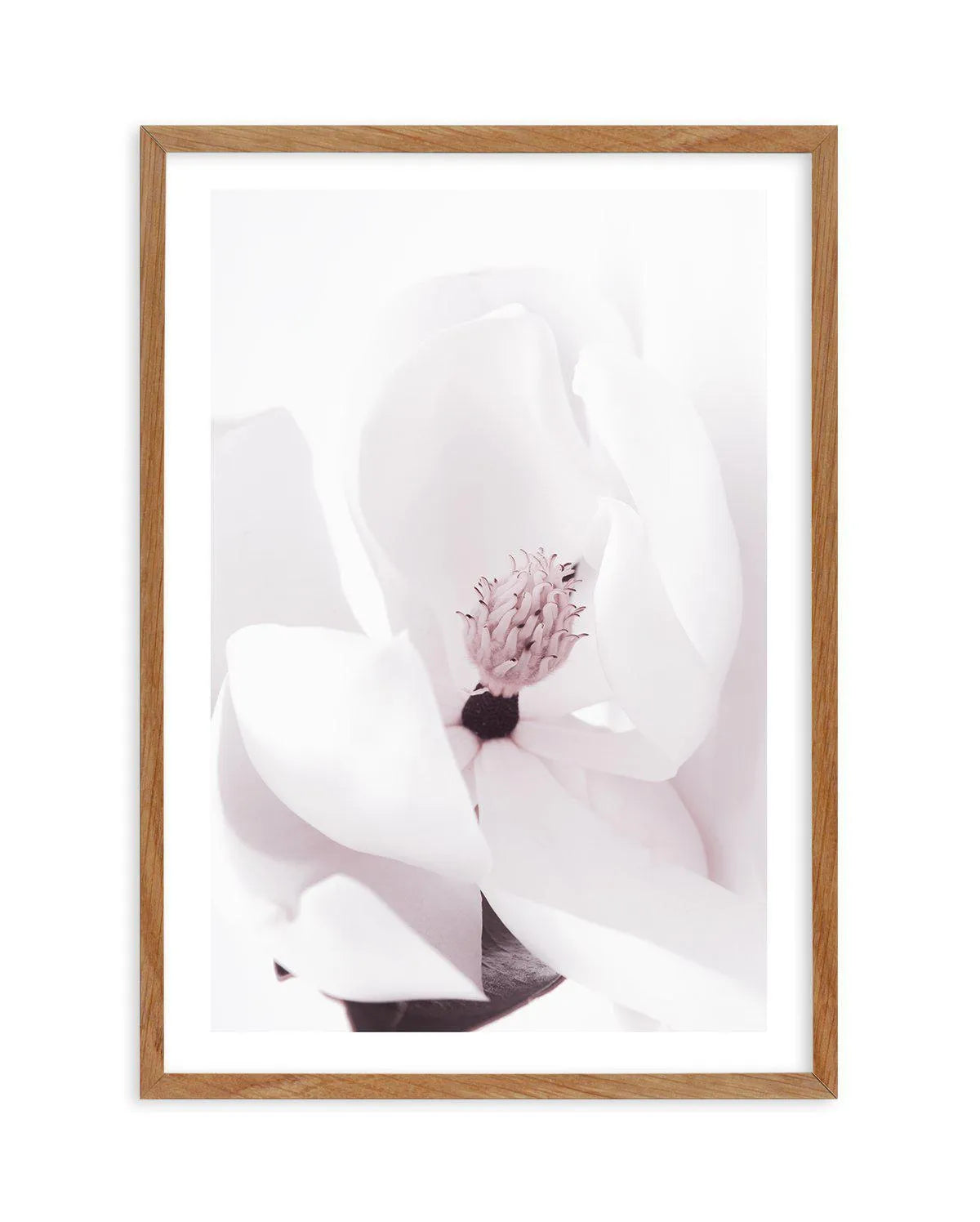 Elle est la | Magnolia - Olive et Oriel