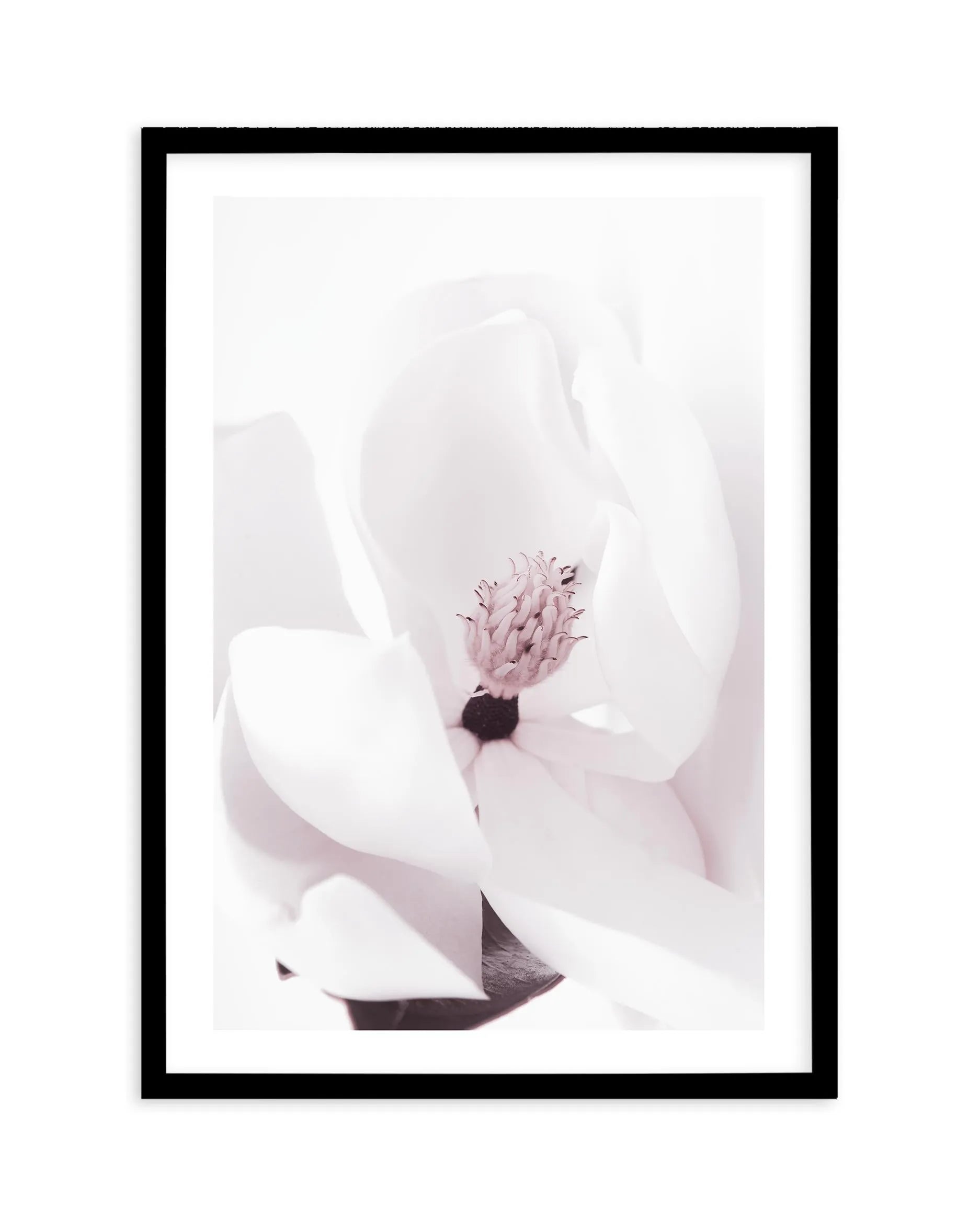 Elle est lâˆšÂ¢Ã€Ãœâ‰ˆÂ°âˆšÃ‰â€šÃ„âˆžâˆšÂ¢Ã€Ãœâ€šÃ„â€ âˆšÃ‰Â¬â‰ âˆšÂ¢Ã€Ãœâ‰ˆÂ°âˆšÃ‰â‰ˆÃ¬âˆšÂ¢â€šÃ‡Â¨â‰ˆÂ°âˆšÃ‰â€šÃ„Ã»âˆšÃ‰Â¬Â¥âˆšÂ¢Ã€Ãœâ‰ˆÂ°âˆšÃ‰â€šÃ„âˆžâˆšÂ¢â€šÃ‡Â¨â‰ˆÂ°âˆšÃ‰â€šÃ„Ã»âˆšÃ‰Â¬âˆ‚âˆšÂ¢Ã€Ãœâ‰ˆÂ°âˆšÃ‰â€šÃ„Â°âˆšÃ‡Â¬Â¨âˆšÂ¢â€šÃ‡Â¨Â¬â€  | Magnolia - Olive et Oriel | Shop Art Prints & Posters Online