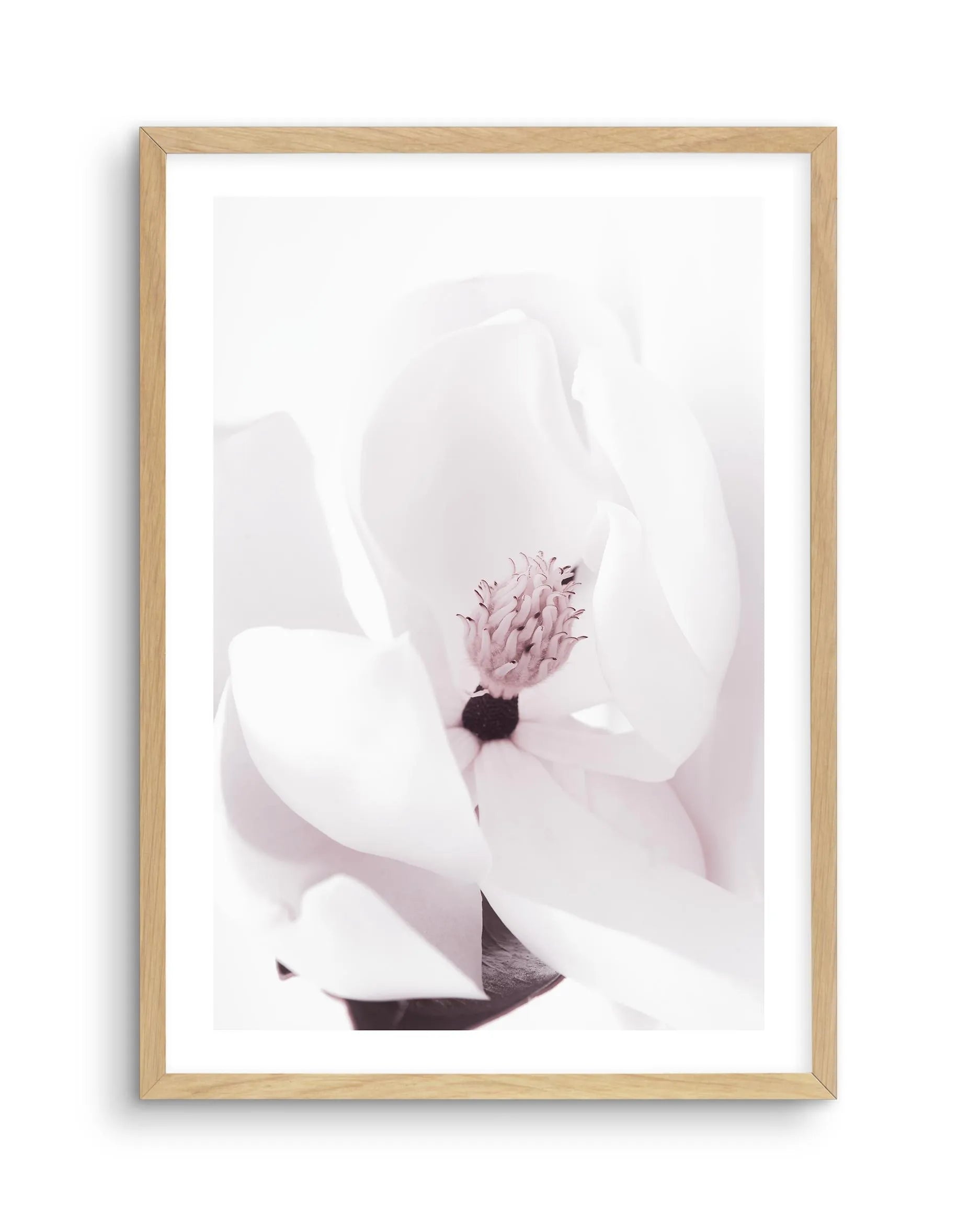 Elle est lâˆšÂ¢Ã€Ãœâ‰ˆÂ°âˆšÃ‰â€šÃ„âˆžâˆšÂ¢Ã€Ãœâ€šÃ„â€ âˆšÃ‰Â¬â‰ âˆšÂ¢Ã€Ãœâ‰ˆÂ°âˆšÃ‰â‰ˆÃ¬âˆšÂ¢â€šÃ‡Â¨â‰ˆÂ°âˆšÃ‰â€šÃ„Ã»âˆšÃ‰Â¬Â¥âˆšÂ¢Ã€Ãœâ‰ˆÂ°âˆšÃ‰â€šÃ„âˆžâˆšÂ¢â€šÃ‡Â¨â‰ˆÂ°âˆšÃ‰â€šÃ„Ã»âˆšÃ‰Â¬âˆ‚âˆšÂ¢Ã€Ãœâ‰ˆÂ°âˆšÃ‰â€šÃ„Â°âˆšÃ‡Â¬Â¨âˆšÂ¢â€šÃ‡Â¨Â¬â€  | Magnolia - Olive et Oriel | Shop Art Prints & Posters Online