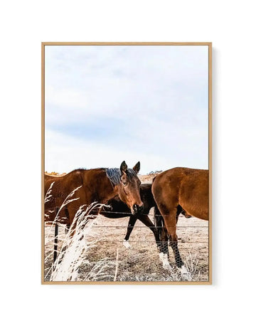 Equestrian | Framed Canvas-CANVAS-You can shop wall art online with Olive et Oriel for everything from abstract art to fun kids wall art. Our beautiful modern art prints and canvas art are available from large canvas prints to wall art paintings and our proudly Australian artwork collection offers only the highest quality framed large wall art and canvas art Australia - You can buy fashion photography prints or Hampton print posters and paintings on canvas from Olive et Oriel and have them deliv