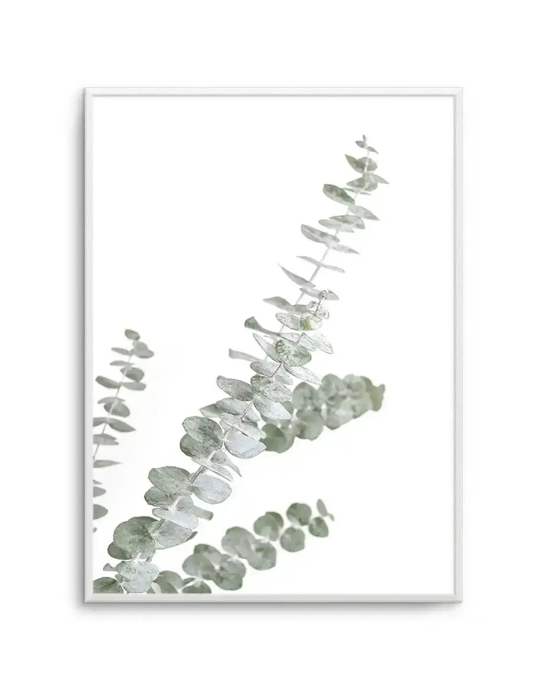 Eucalyptus Gum I Art Print-PRINT-Olive et Oriel-Olive et Oriel-A5 | 5.8" x 8.3" | 14.8 x 21cm-Unframed Art Print-With White Border-Buy-Australian-Art-Prints-Online-with-Olive-et-Oriel-Your-Artwork-Specialists-Austrailia-Decorate-With-Coastal-Photo-Wall-Art-Prints-From-Our-Beach-House-Artwork-Collection-Fine-Poster-and-Framed-Artwork