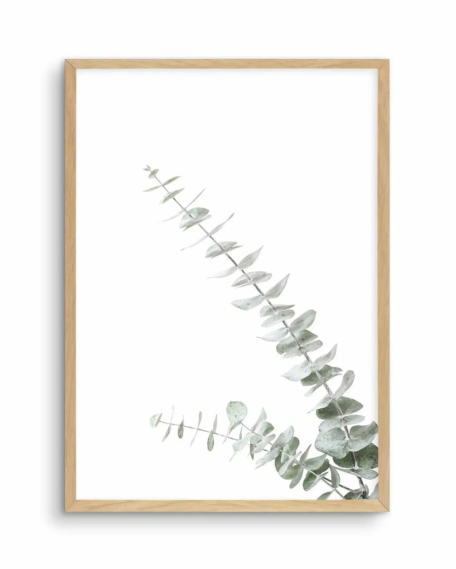 Framed art print featuring a minimalist watercolor illustration of eucalyptus branches with oval-shaped leaves in soft sage green and gray tones. The delicate stems curve diagonally across a white background, with fuller foliage concentrated in the lower right corner and sparser branching extending toward the upper left. The artwork is displayed in a natural wood frame with a white border, creating a clean, botanical aesthetic against a neutral background.