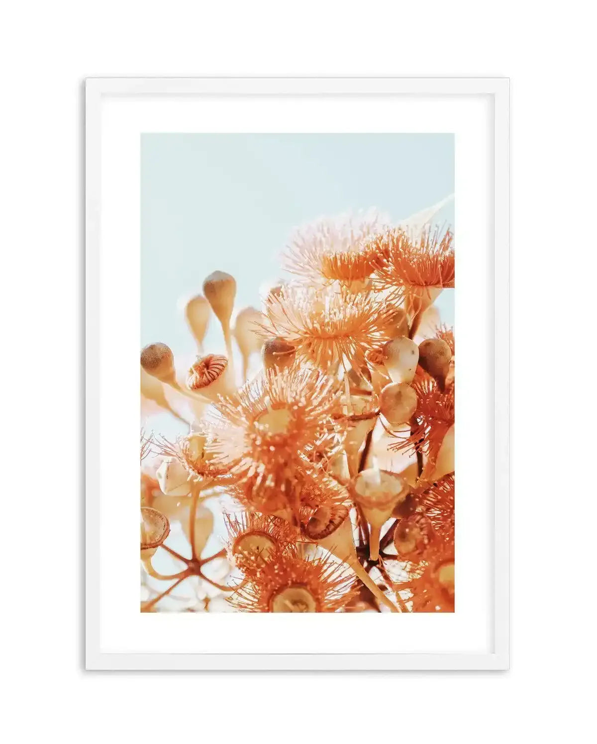 Eucalyptus In Bloom III | PT Art Print-PRINT-Olive et Oriel-Olive et Oriel-A5 | 5.8" x 8.3" | 14.8 x 21cm-White-With White Border-Buy-Australian-Art-Prints-Online-with-Olive-et-Oriel-Your-Artwork-Specialists-Austrailia-Decorate-With-Coastal-Photo-Wall-Art-Prints-From-Our-Beach-House-Artwork-Collection-Fine-Poster-and-Framed-Artwork