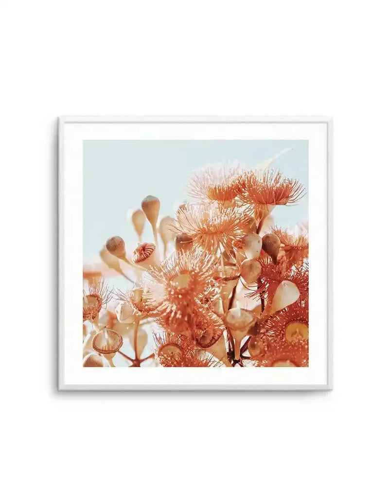 Square art print in white frame featuring a close-up photograph of coral and cream eucalyptus flowers in full bloom against a soft, pale blue sky. The delicate, wispy stamens create intricate textures in warm terracotta and dusty rose tones, with some buds appearing as soft peachy-beige shapes. The composition fills the frame with layered botanical details, creating depth and a dreamy, warm aesthetic. Print includes white border around the artwork.