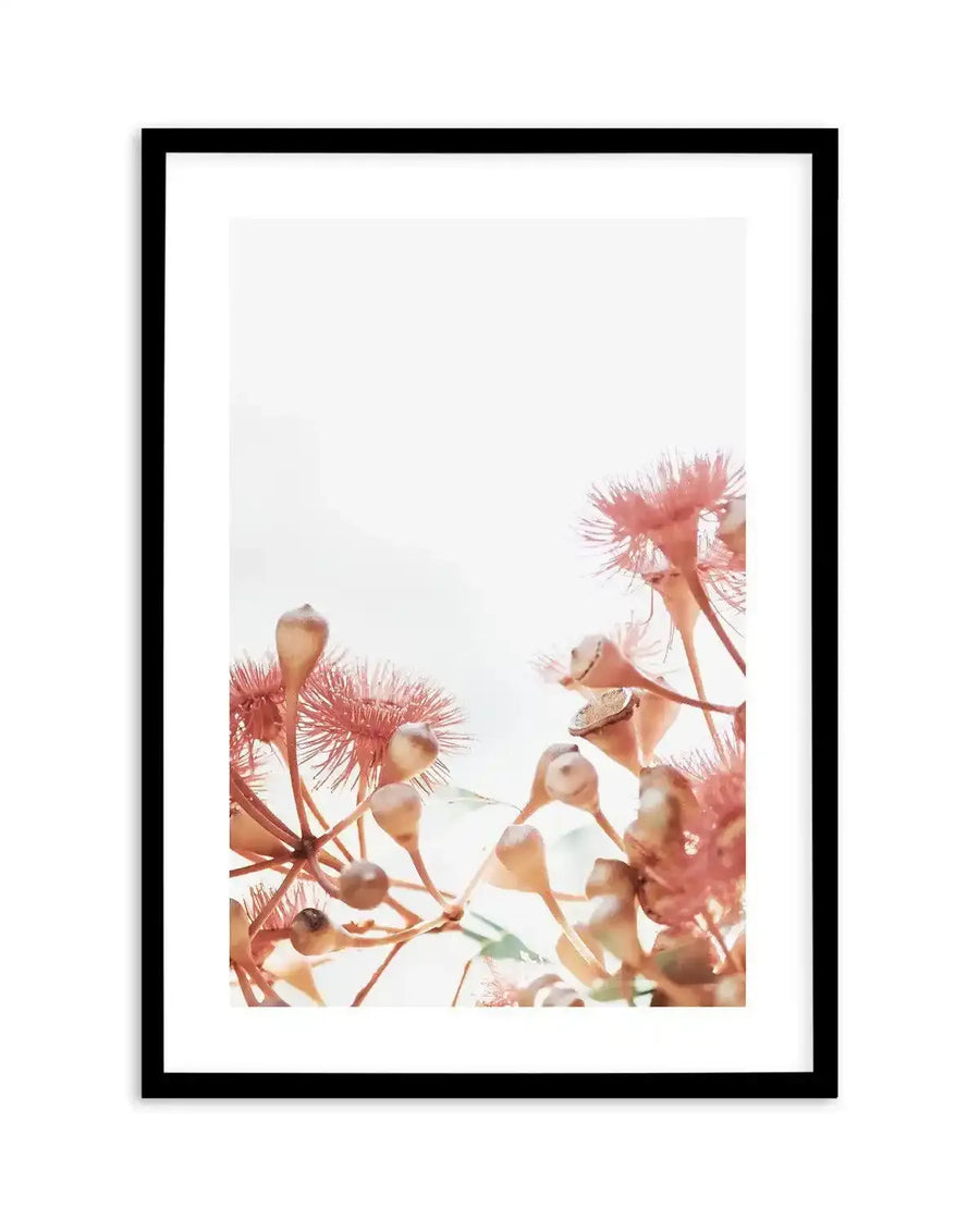 Art print in black frame with white border featuring dusty rose and coral-toned eucalyptus branches with feathery blooms and seed pods against a soft, pale background. The botanical imagery is composed from the bottom of the frame upward, creating an airy, minimalist aesthetic with warm peachy undertones and delicate, naturalistic watercolor-style rendering.