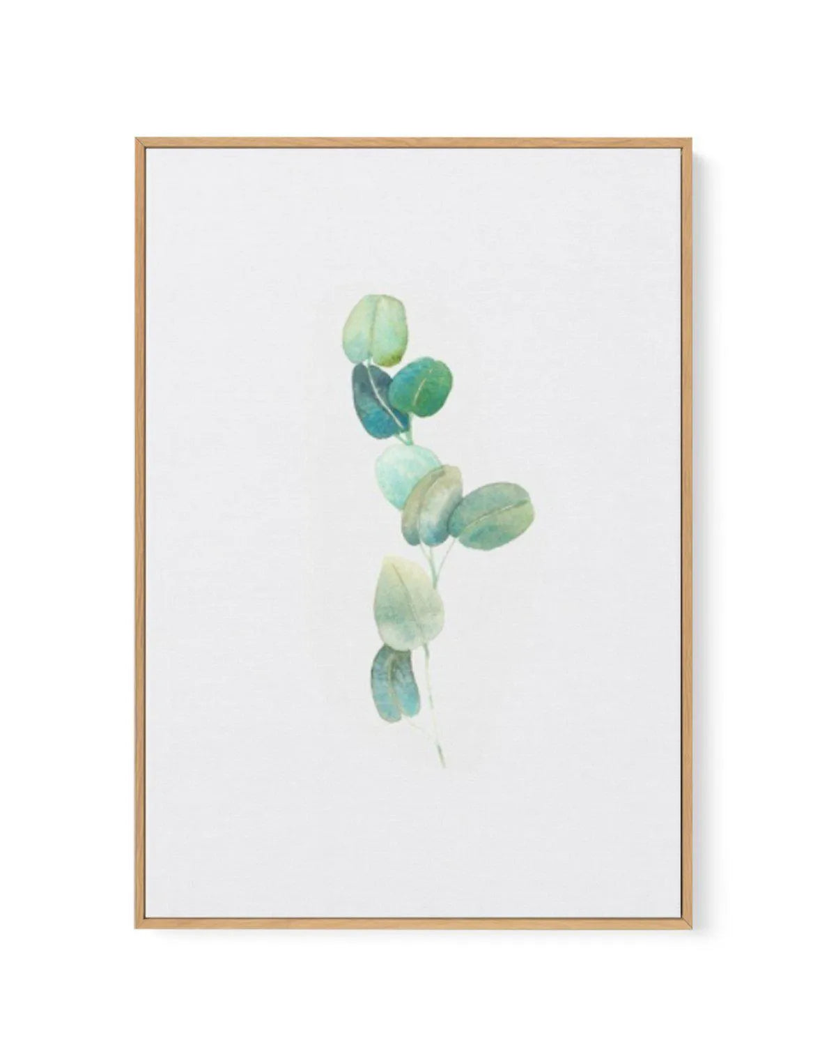 Eucalyptus In Watercolour | Framed Canvas-CANVAS-You can shop wall art online with Olive et Oriel for everything from abstract art to fun kids wall art. Our beautiful modern art prints and canvas art are available from large canvas prints to wall art paintings and our proudly Australian artwork collection offers only the highest quality framed large wall art and canvas art Australia - You can buy fashion photography prints or Hampton print posters and paintings on canvas from Olive et Oriel and 