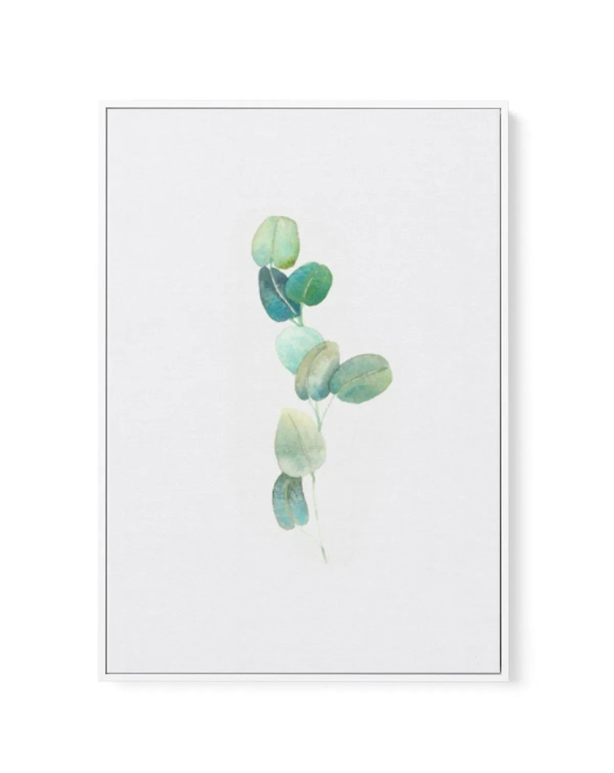 Eucalyptus In Watercolour | Framed Canvas-CANVAS-You can shop wall art online with Olive et Oriel for everything from abstract art to fun kids wall art. Our beautiful modern art prints and canvas art are available from large canvas prints to wall art paintings and our proudly Australian artwork collection offers only the highest quality framed large wall art and canvas art Australia - You can buy fashion photography prints or Hampton print posters and paintings on canvas from Olive et Oriel and 
